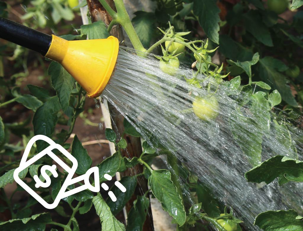 Funding, Grants, and Loans