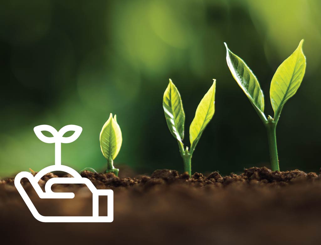 Getting Started for New and Beginning Farmers