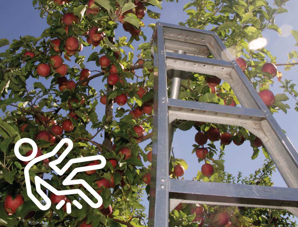 Insurance and Risk Management