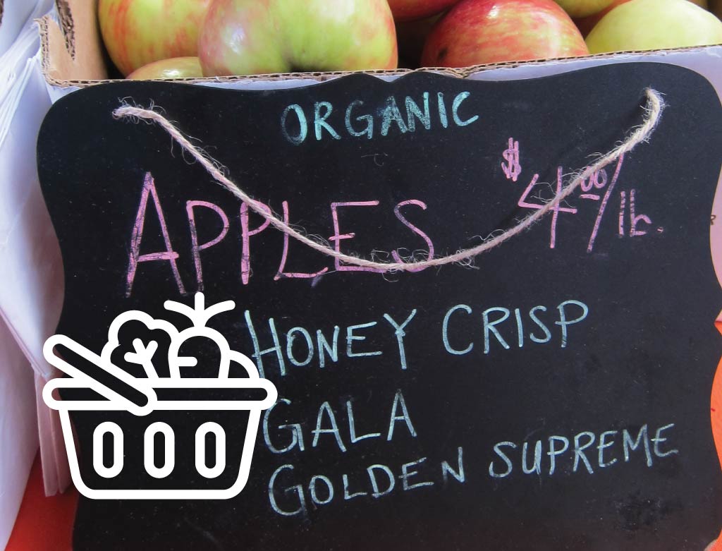 Marketing: Channels and Strategies