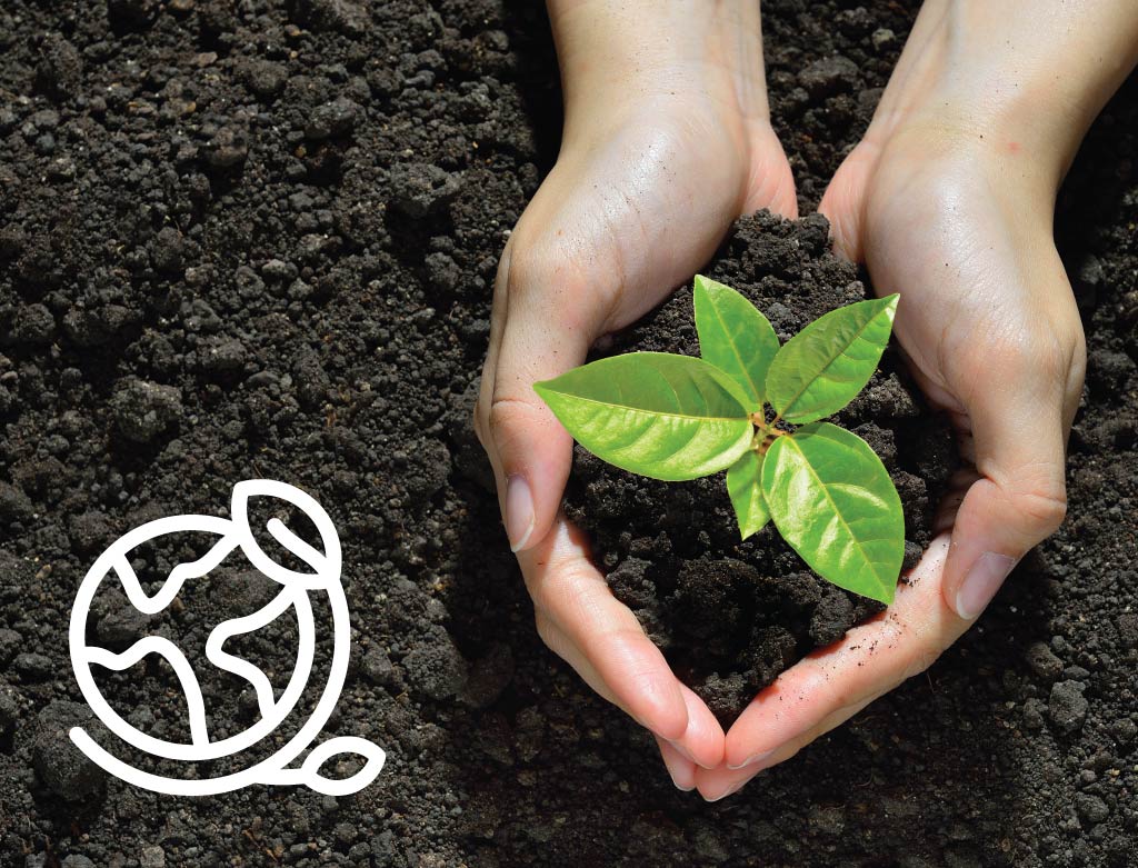 Regenerative and Climate-Smart Practices