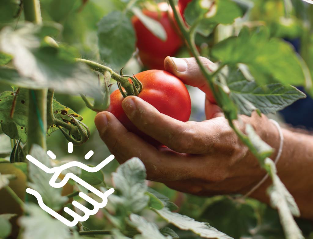 Securing Labor and Employee Management